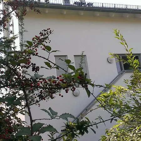 Quarto em Acomodações Particulares Petite Bellevue Ii Baden-Baden