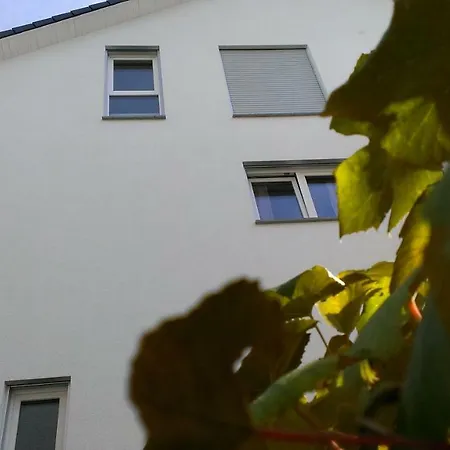 Petite Bellevue Ii Homestay