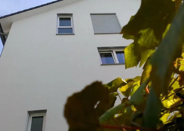 Petite Bellevue Ii Séjour chez l'habitant