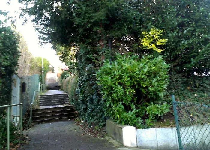 Petite Bellevue Ii * באדן-באדן